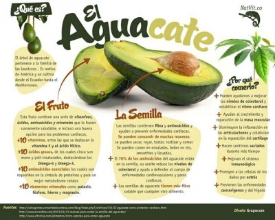 b2ap3_thumbnail_aguacate.jpg