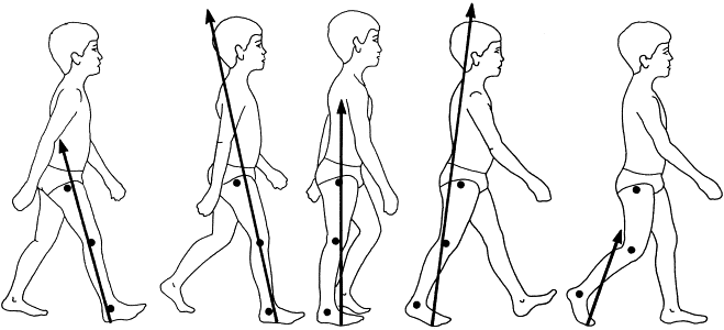 Conceptos Biomecánicos