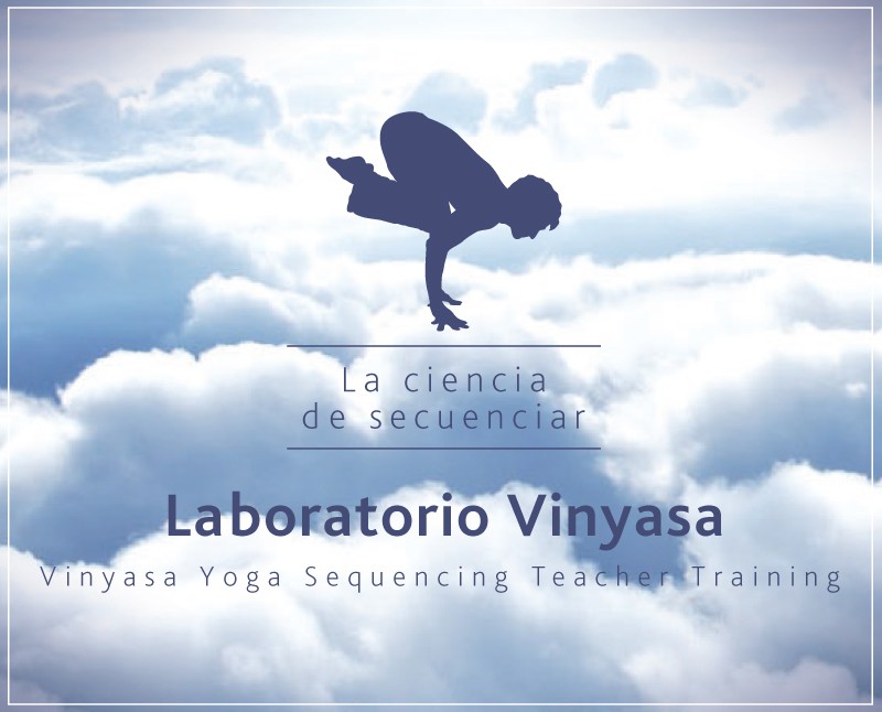 Vinyasa Sequencing 100 horas