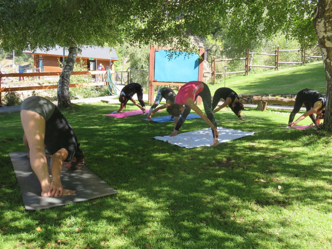 Certificación de nuevos Instructor@s de Yoga 14-02-2020